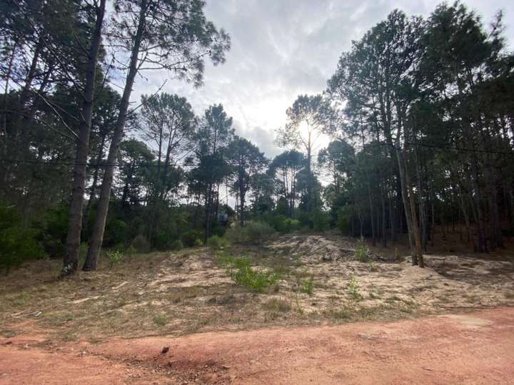Terreno en venta en Maldonado