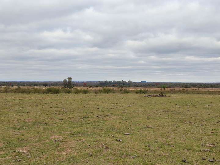 Terreno en venta en Departamento Colón, Entre Ríos