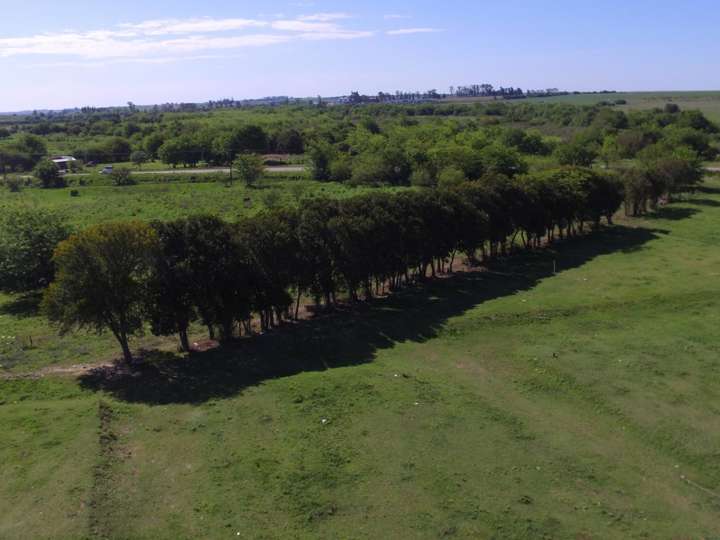 Terreno en venta en Departamento Victoria, Victoria