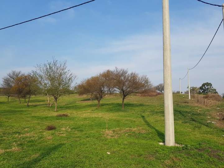 Terreno en venta en Bulevar Brown, 600, Victoria