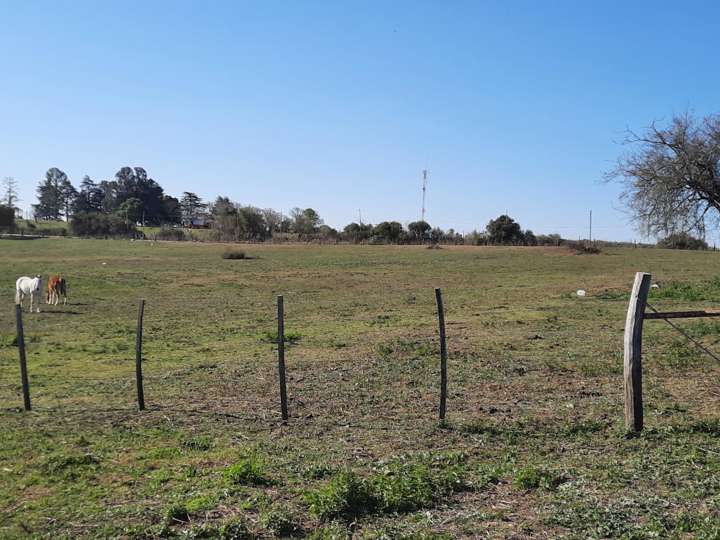 Terreno en venta en Los Cardenales, Victoria