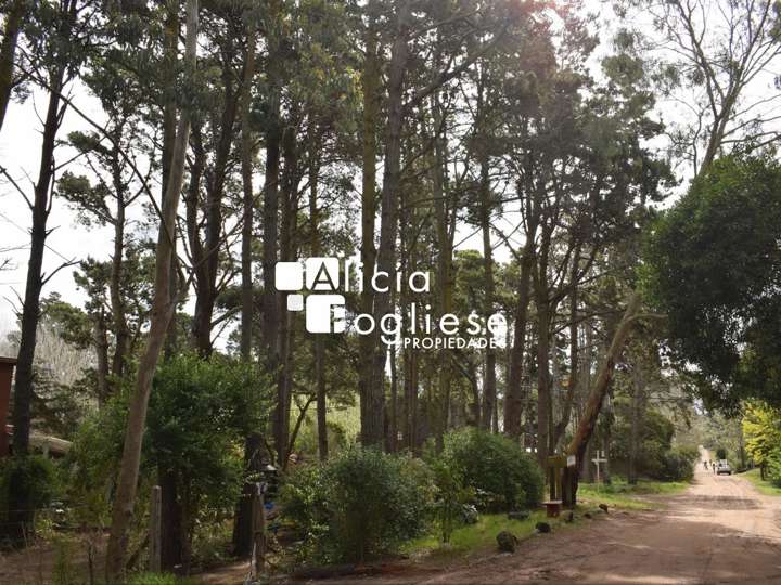 Terreno en venta en Calle 37, Buenos Aires