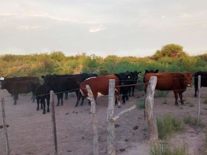 Terreno en venta en Ruta Nacional 143, La Pampa