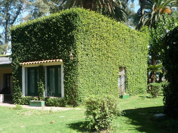 Terreno en venta en Partido de General Las Heras, General Las Heras