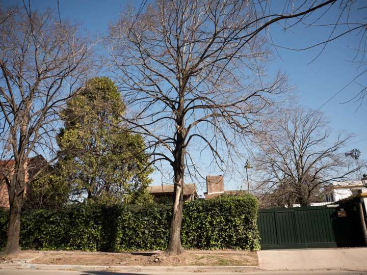 Casa en venta en Quirno, Bella Vista