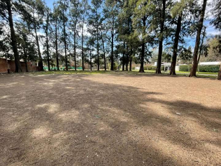 Terreno en venta en Torquato Tasso, Francisco Álvarez
