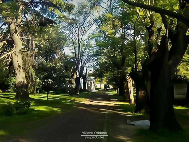 Terreno en venta en Avenida Patricios, Pontevedra