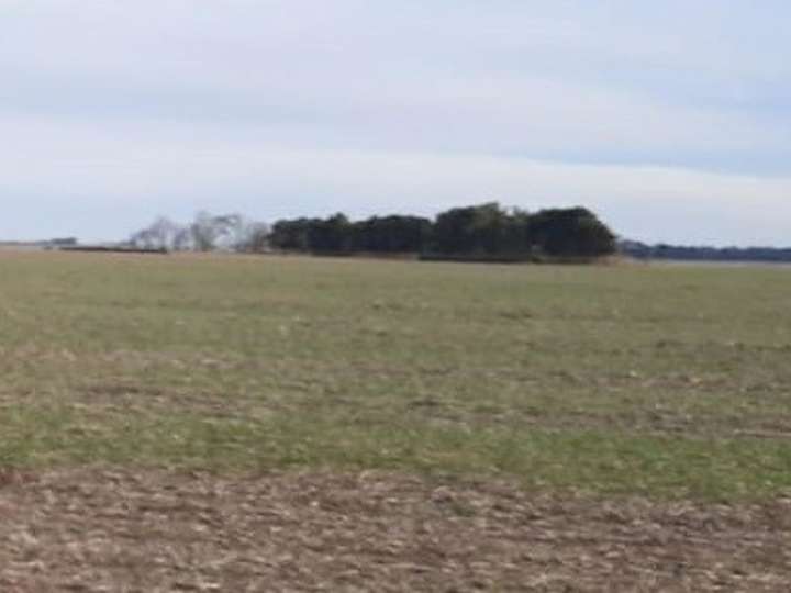 Terreno en venta en Partido de General Villegas, General Villegas