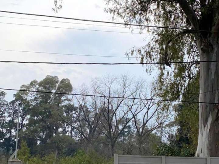 Terreno en venta en Diego de Sanabria, Francisco Álvarez