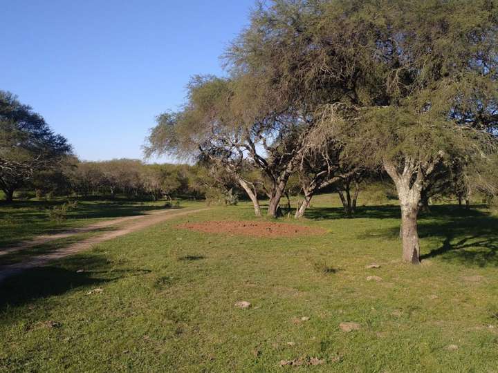 Terreno en venta en Departamento Uruguay, Concepción del Uruguay