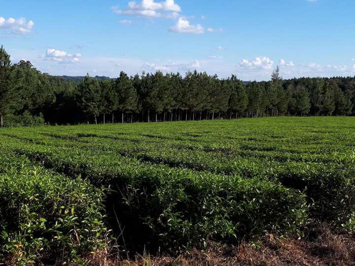 Casa en venta en Ruta Provincial 5, Provincia de Misiones