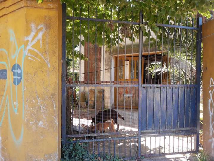 Comercial / Tienda en alquiler en Centenario de Mayo, 1721, Adrogué