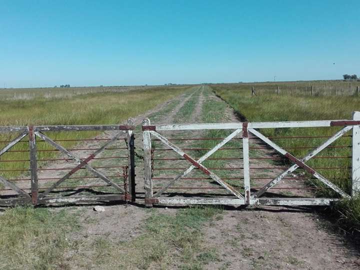 Terreno en venta en Vicente López, Olavarría