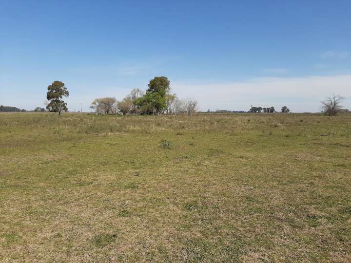 Terreno en venta en 25 de Mayo, Chivilcoy