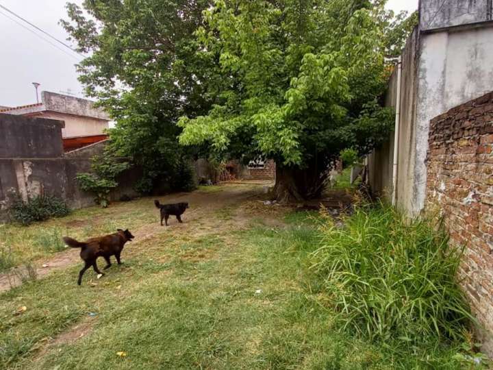 Terreno en venta en La Porteña, 346, Villa Luzuriaga