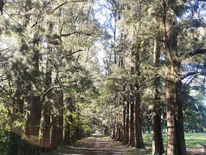 Terreno en venta en Belardoni, Marcos Paz