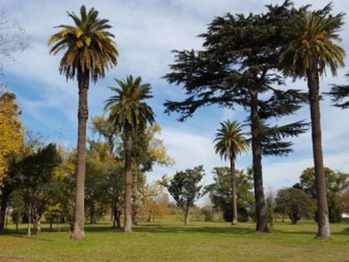 Terreno en venta en General Alvear, Longchamps