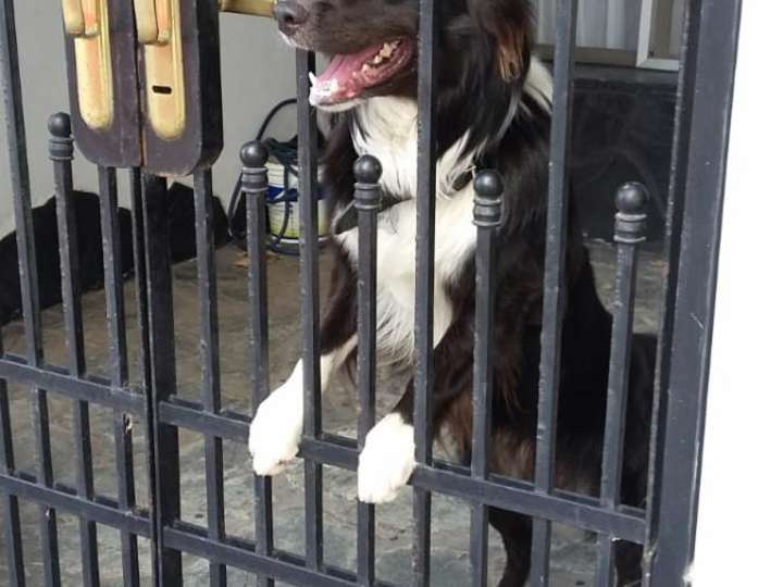 Casa en alquiler en Avenida General José de San Martín, Buenos Aires