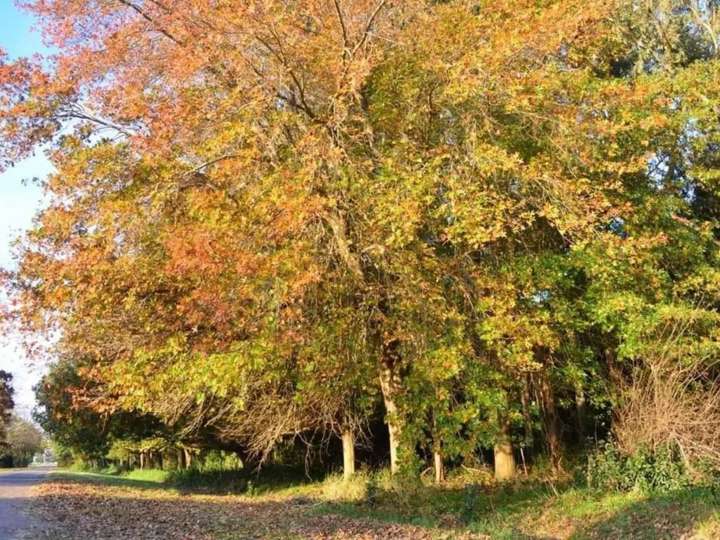 Casa en venta en Avenida Eva Perón, Buenos Aires