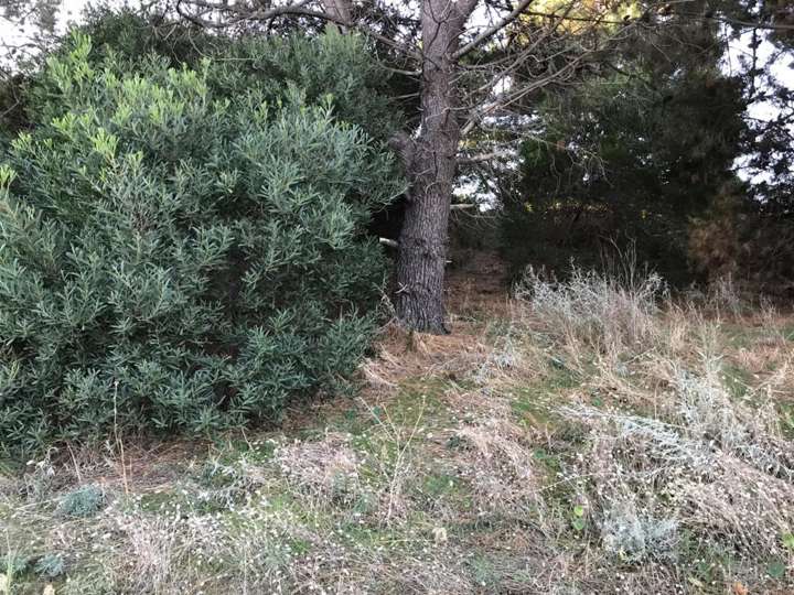 Terreno en venta en Avenida Guillermo Sansot, Buenos Aires