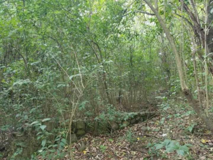 Terreno en venta en Avenida Vélez Sarsfield, Córdoba