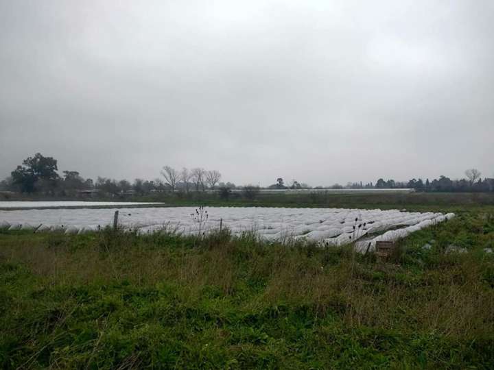 Terreno en venta en Calle 1620, Buenos Aires