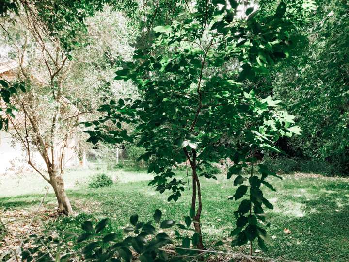 Terreno en venta en Marqués de Avilés, Hurlingham