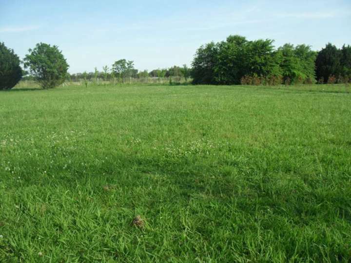 Terreno en venta en Avenida Bernardo de Irigoyen, General Rodríguez