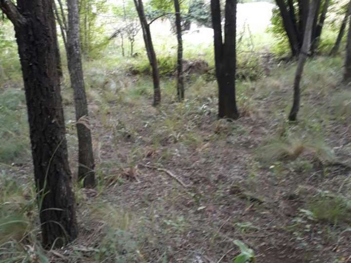 Terreno en venta en Nido De Zorzales, Córdoba