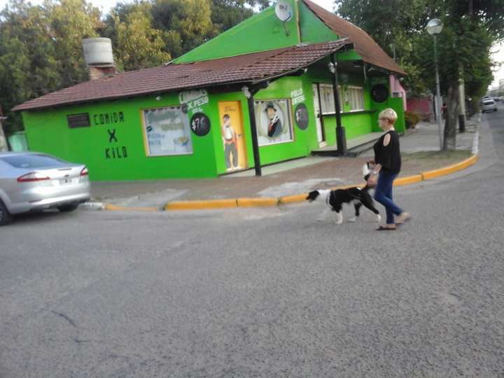 Terreno en venta en Avenida Entre Ríos, Santa Teresita