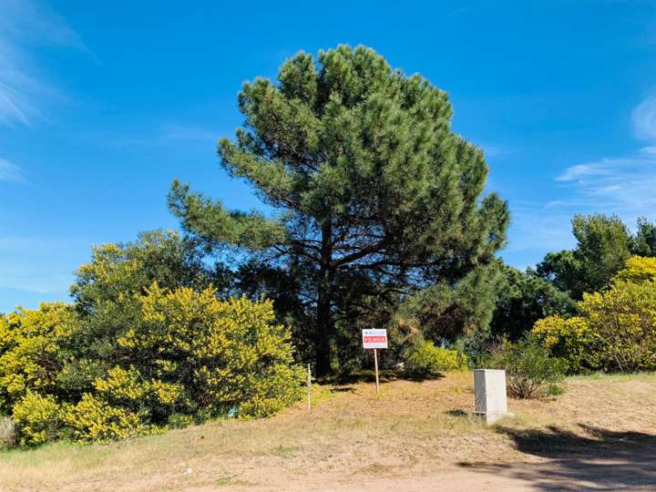 Terreno en venta en Las Lechuzas, Buenos Aires