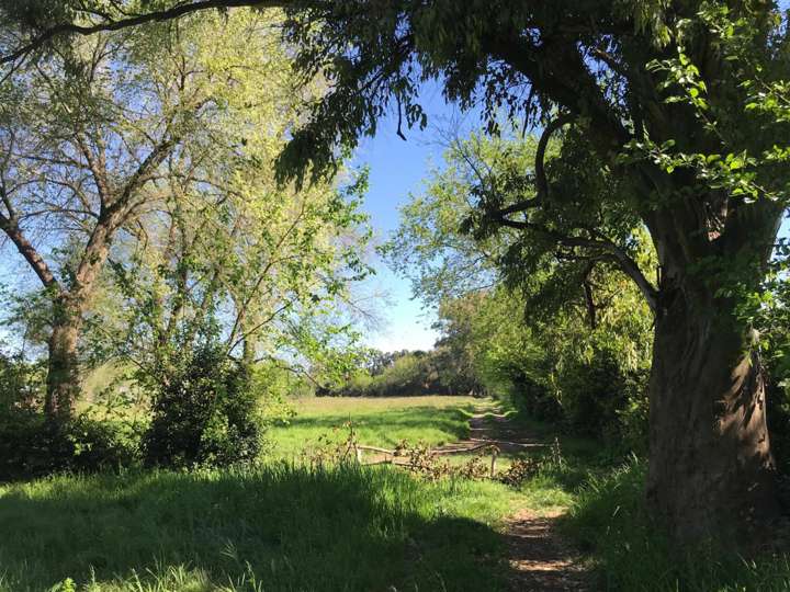 Terreno en venta en Partido de Moreno, La Reja