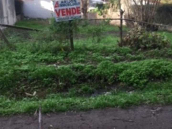 Terreno en venta en Independencia, Municipio de Pueblo Esther