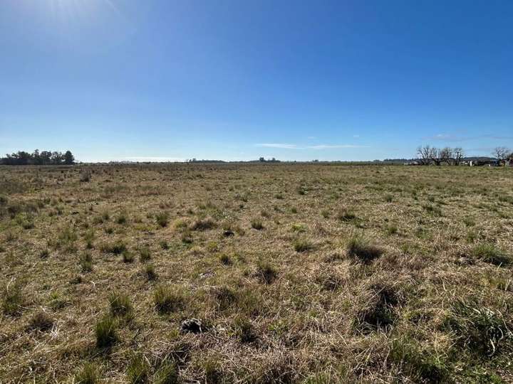 Terreno en venta en Mitre, 362, Brandsen