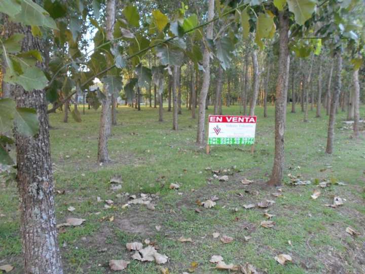 Terreno en venta en Estrada, General Belgrano