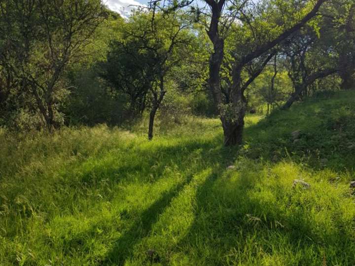 Terreno en venta en Departamento Colón, La Calera