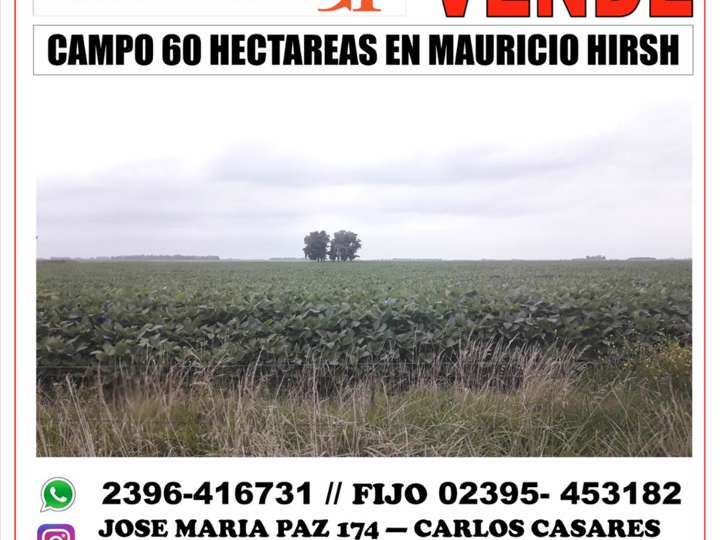 Terreno en venta en Partido de Pehuajó, Buenos Aires