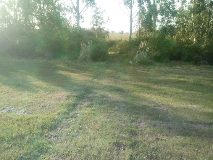 Granja en venta en Ruta 9 Coronel Leonardo Olivera, Maldonado