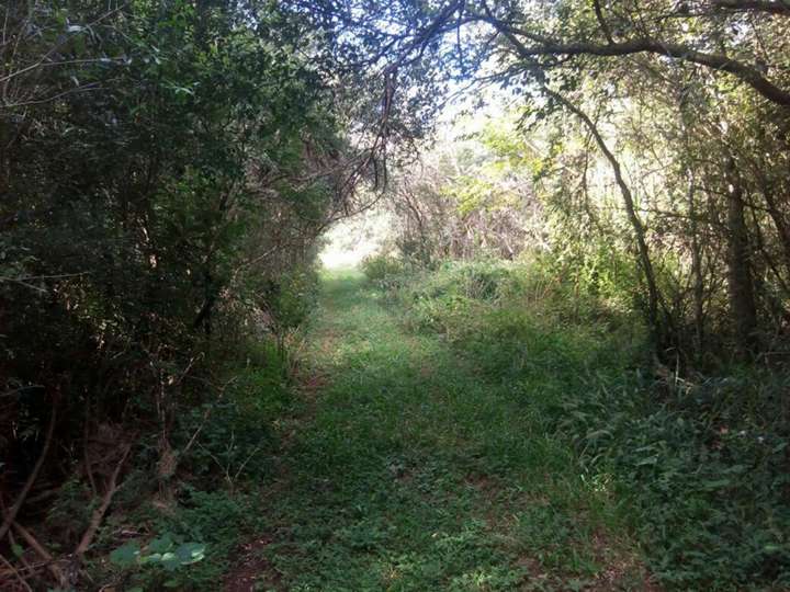 Terreno en venta en Posadas, 504, Leandro N. Alem