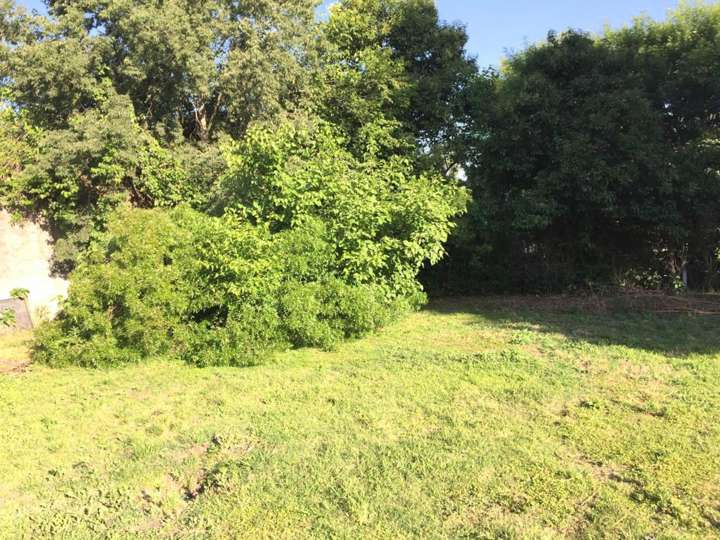 Terreno en venta en General Conesa, Francisco Álvarez