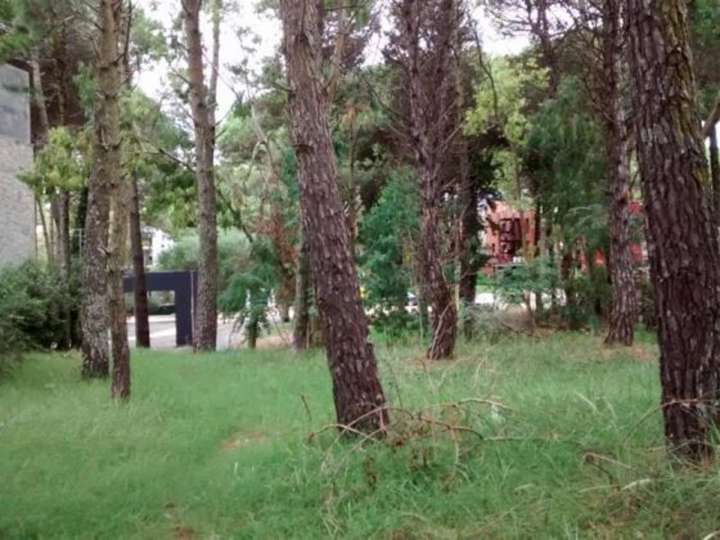 Terreno en venta en Castaño, Buenos Aires