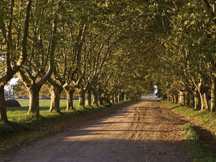 Terreno en venta en Ruta Provincial 1, La Pampa