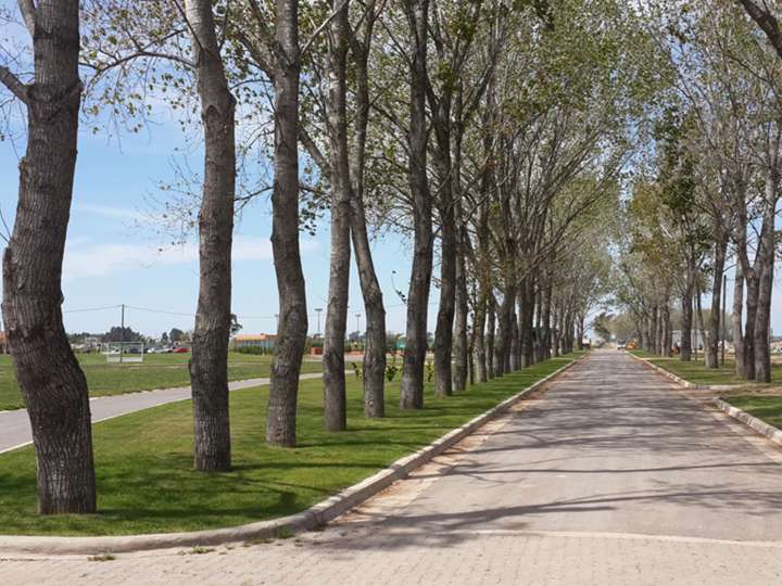 Terreno en venta en Avenida Brigadier General Juan Manuel de Rosas, Buenos Aires