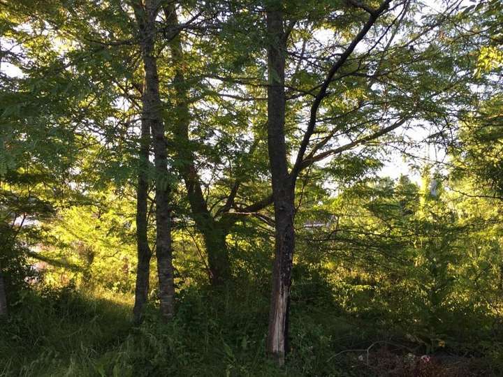 Terreno en venta en Fortín Media Luna, Buenos Aires