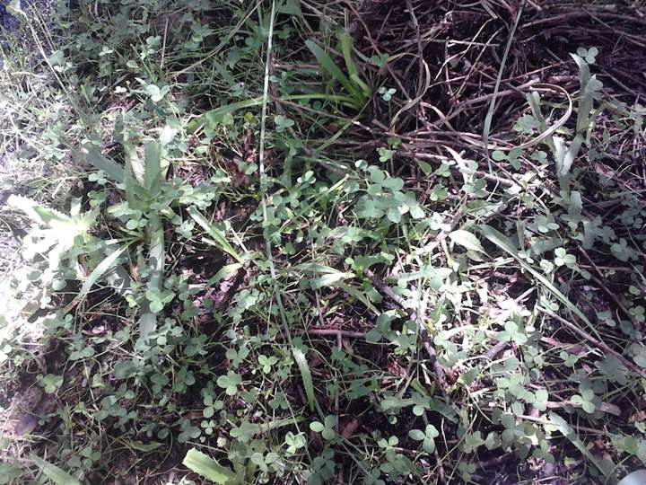 Terreno en venta en Ruta Provincial 9, San Luis