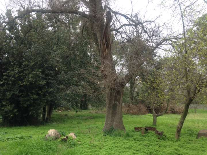Casa en venta en Calle 430, Buenos Aires