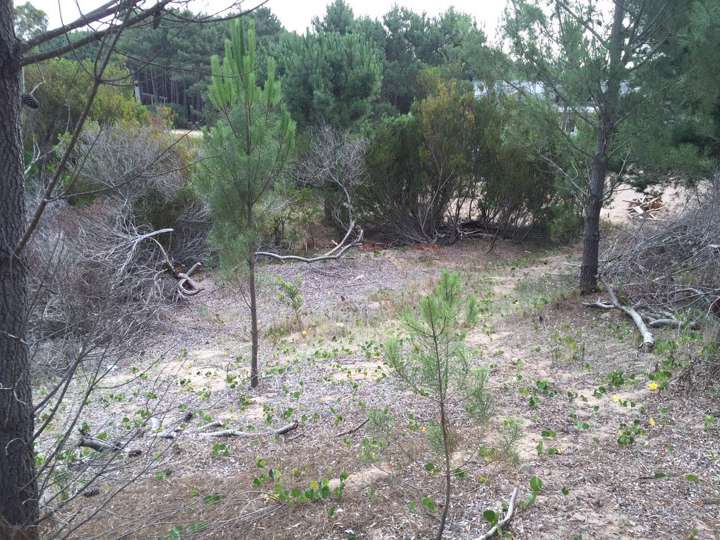 Terreno en venta en Partido de Pinamar, Pinamar