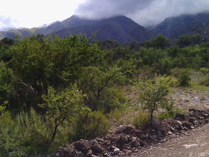 Terreno en venta en Cerro de Oro