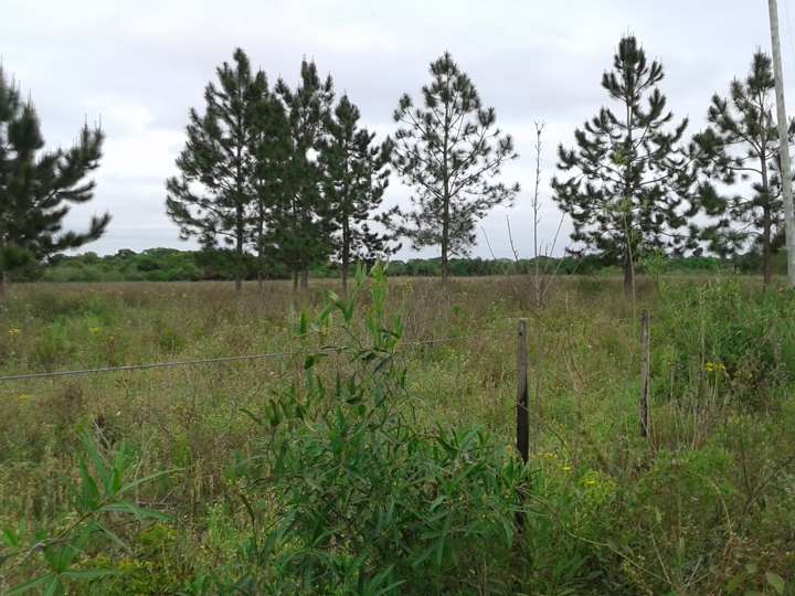 Terreno en venta en Colectora, Provincia de Misiones