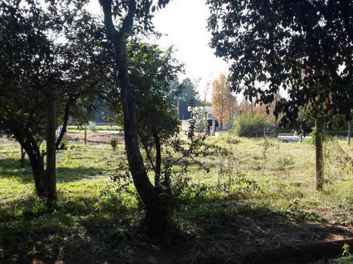 Terreno en venta en Las Hortensias, Provincia de Misiones